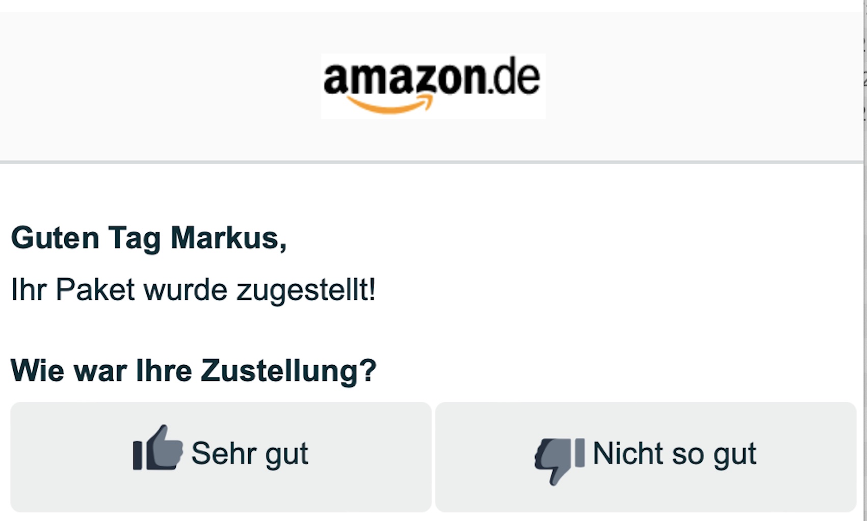 Bisher nur gute Erfahrungen mit Amazons eigenem Paketdienst RadioBlog.eu
